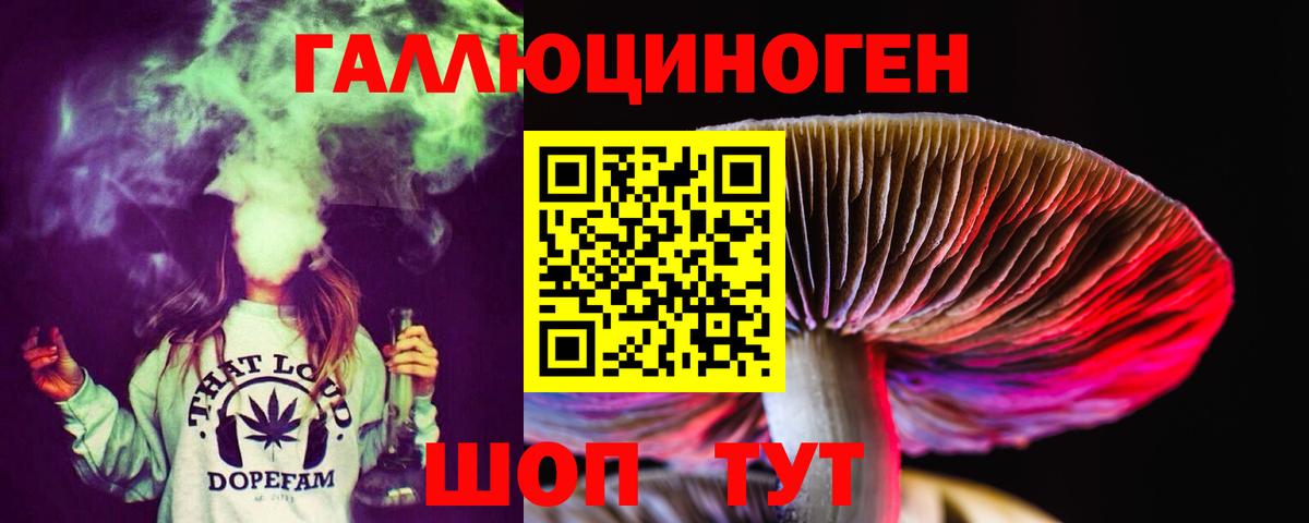 Галлюциногенные грибы Cubensis Ковров